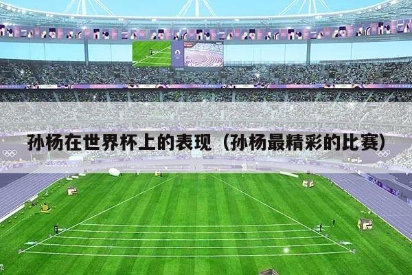 孙杨在世界杯上的表现（孙杨最精彩的比赛）