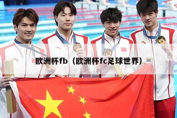 欧洲杯fb（欧洲杯fc足球世界）